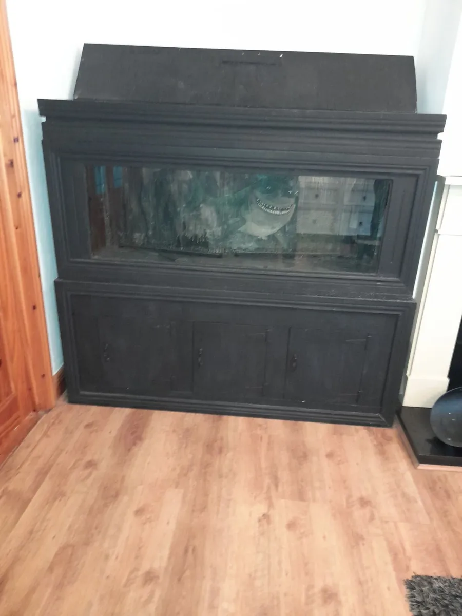Fish Tank - Image 1