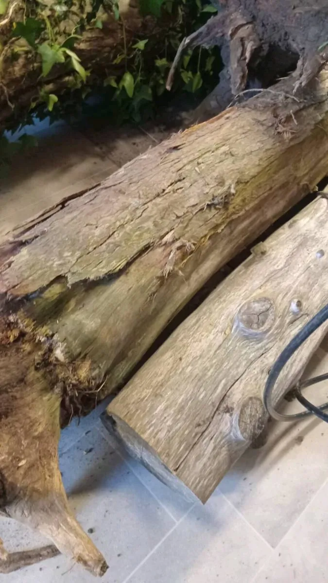 Free tree trunks - Image 2