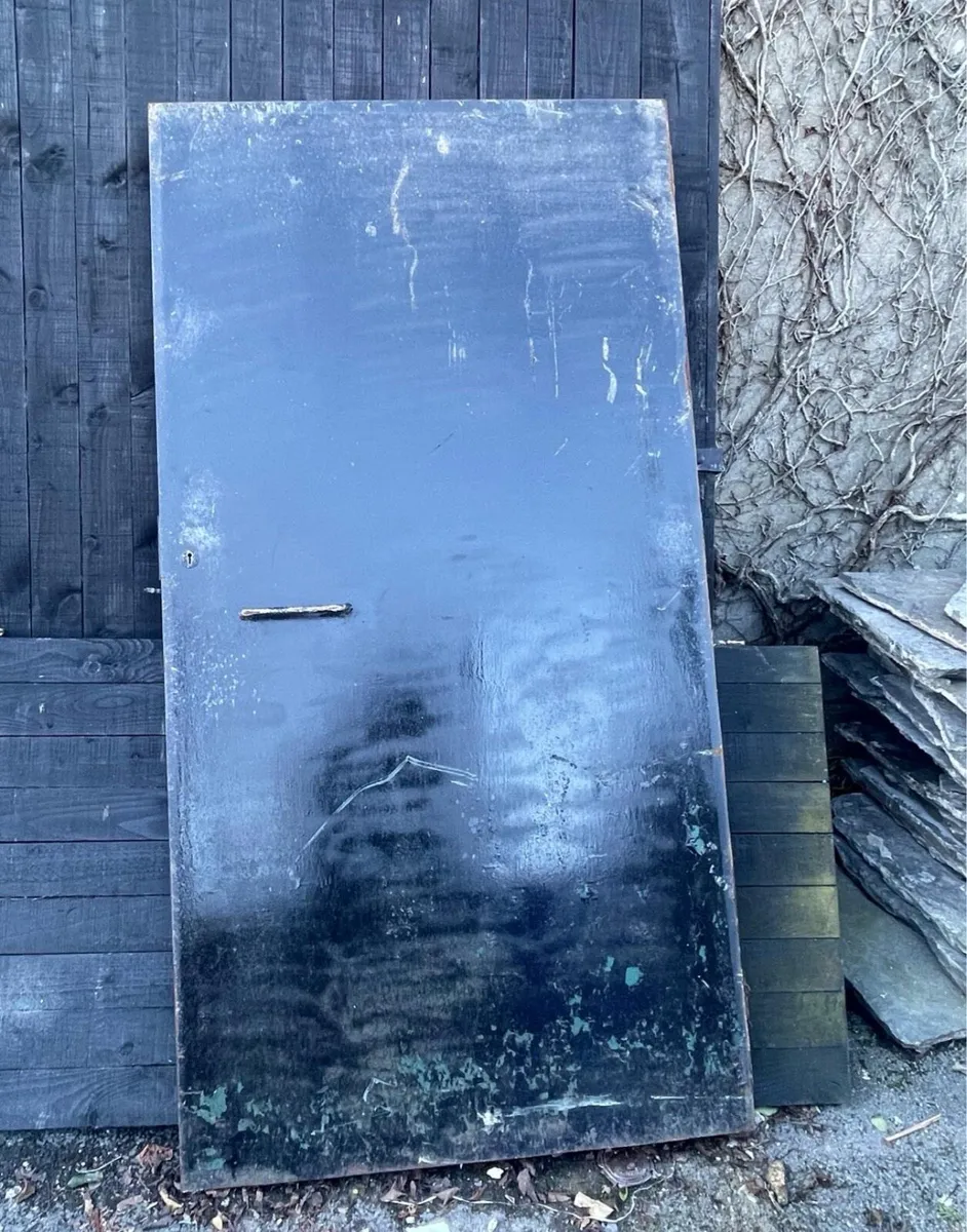 Steel Security Garage / Shed Door - Image 1