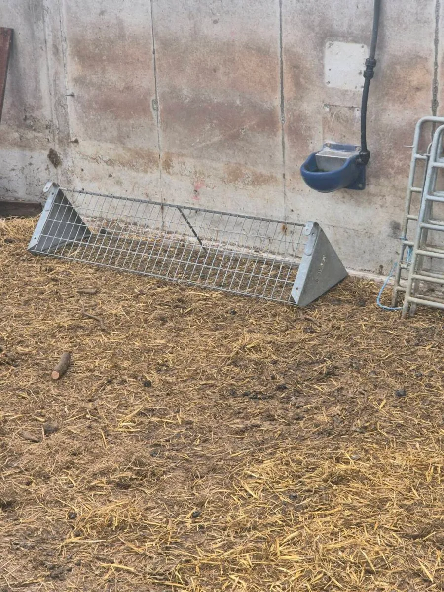 Sheep equipment CLEAR OUT - Image 4