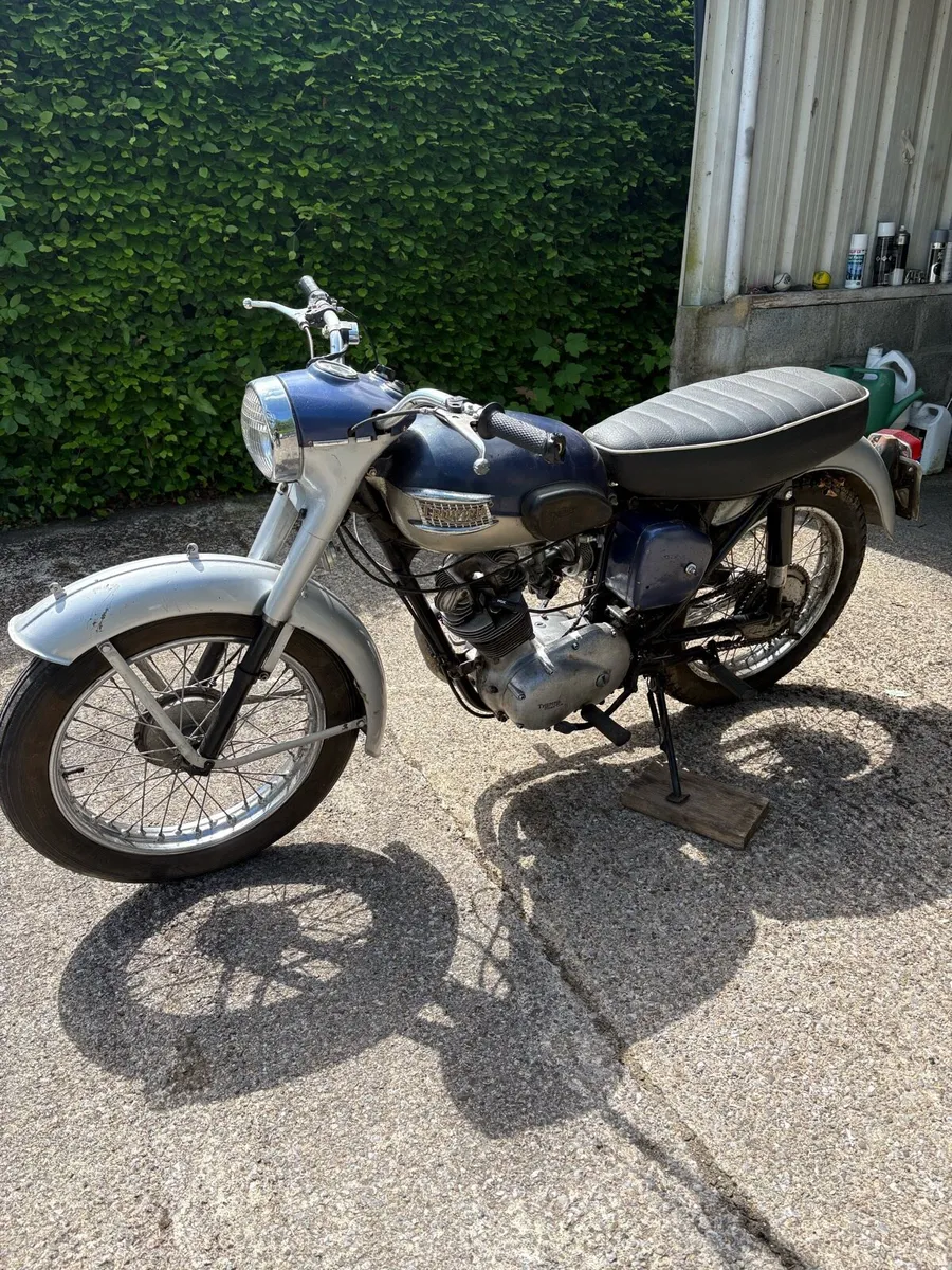 Triumph Tiger Cub - Image 2