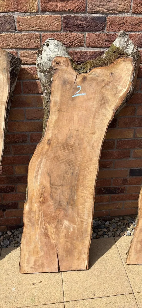 Apple hardwood planks - Woodworking - Woodturning - Image 4