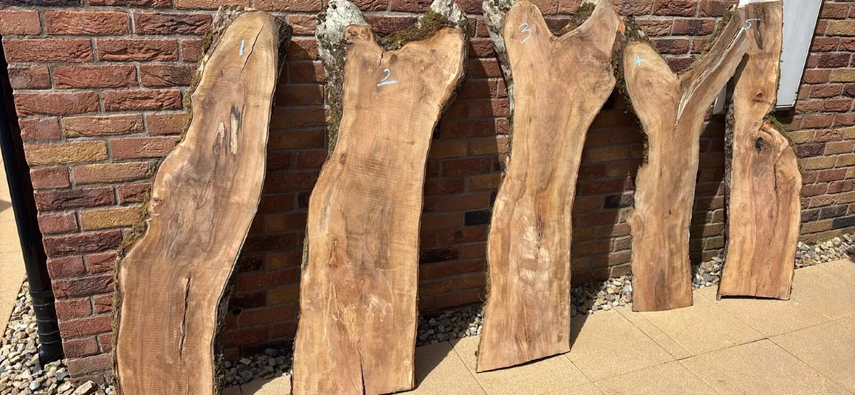 Apple hardwood planks - Woodworking - Woodturning - Image 1