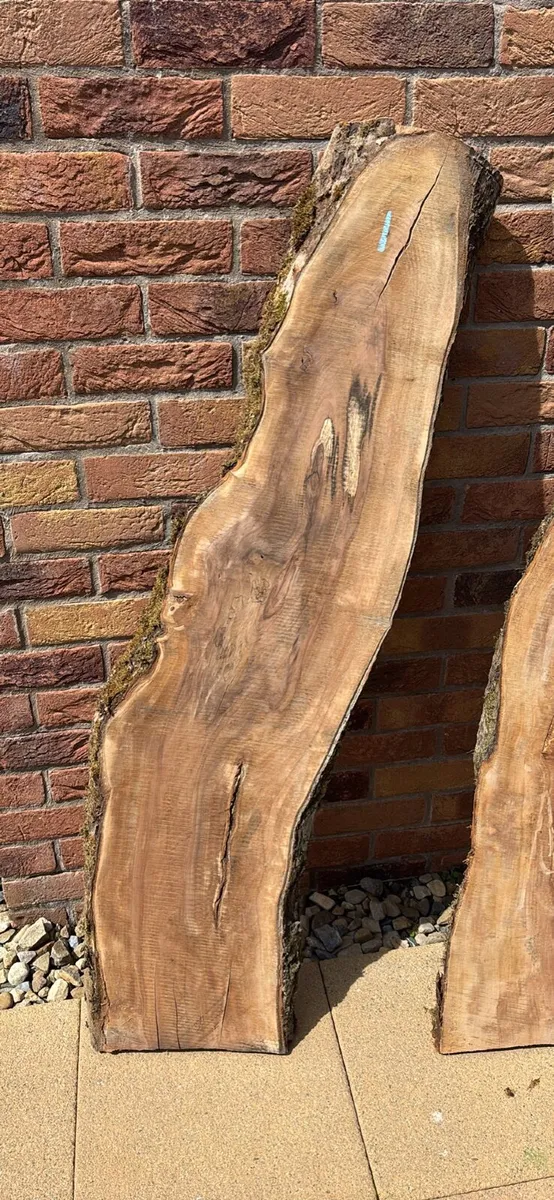 Apple hardwood planks - Woodworking - Woodturning - Image 2