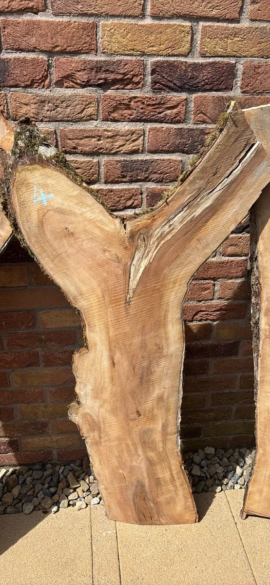 Apple hardwood planks - Woodworking - Woodturning - Image 3