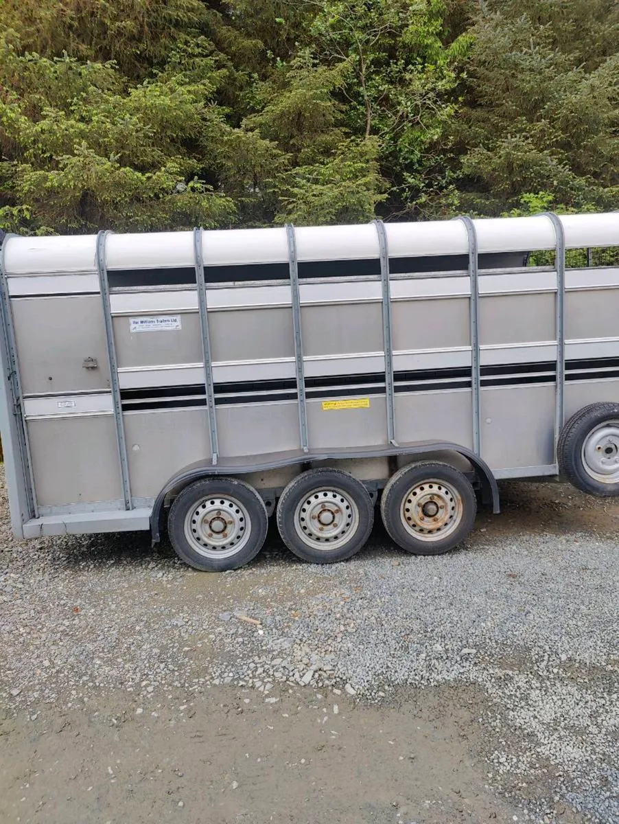 14 ft ivor Williams cattle trailer with sheep deck - Image 2