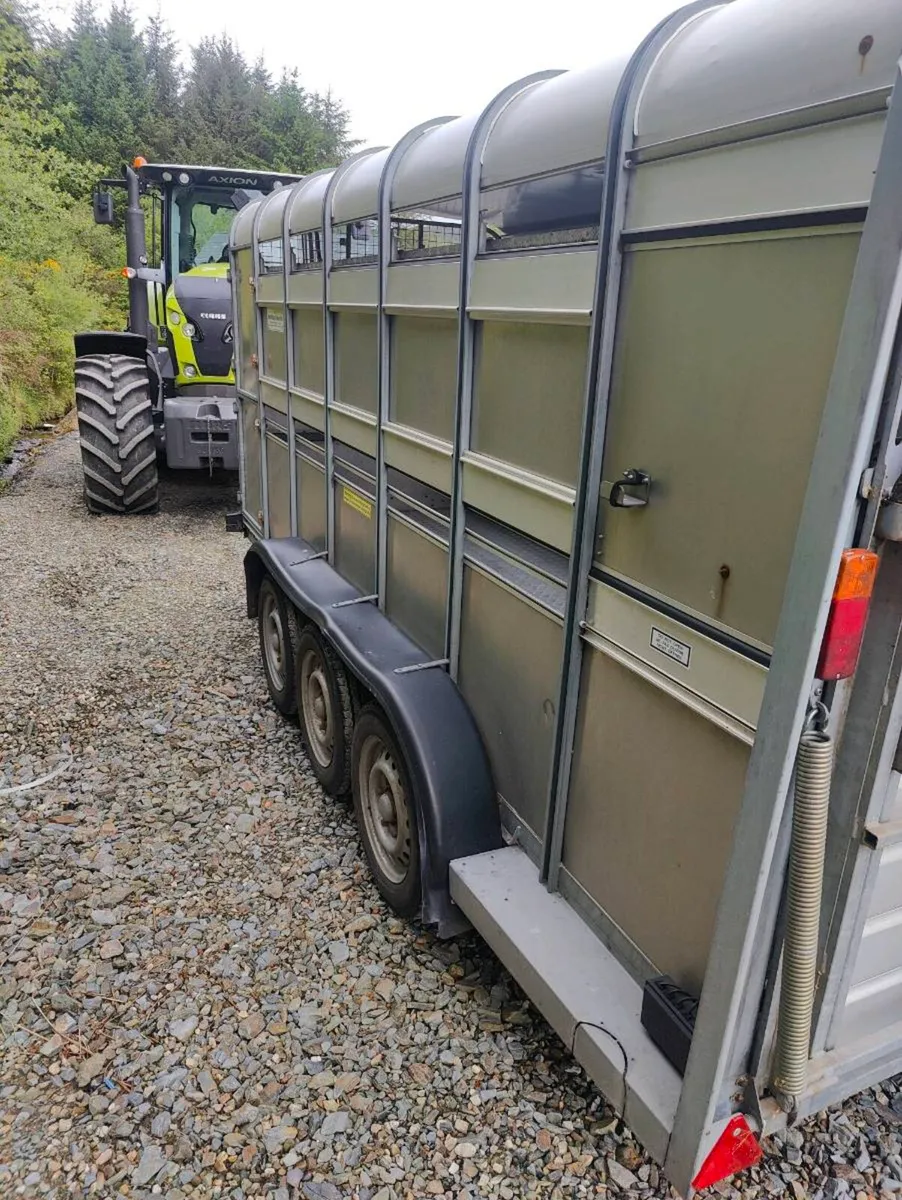 14 ft ivor Williams cattle trailer with sheep deck - Image 4