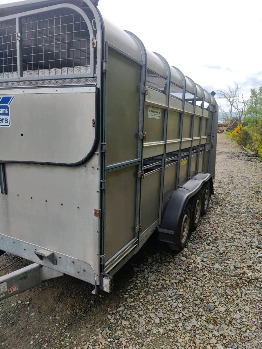 14 ft ivor Williams cattle trailer with sheep deck - Image 1
