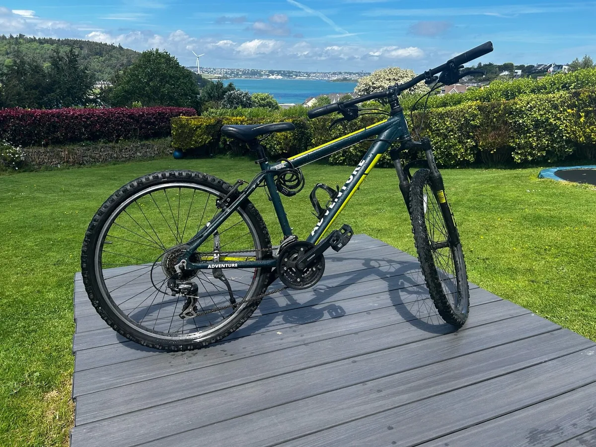 Mountain Bike
