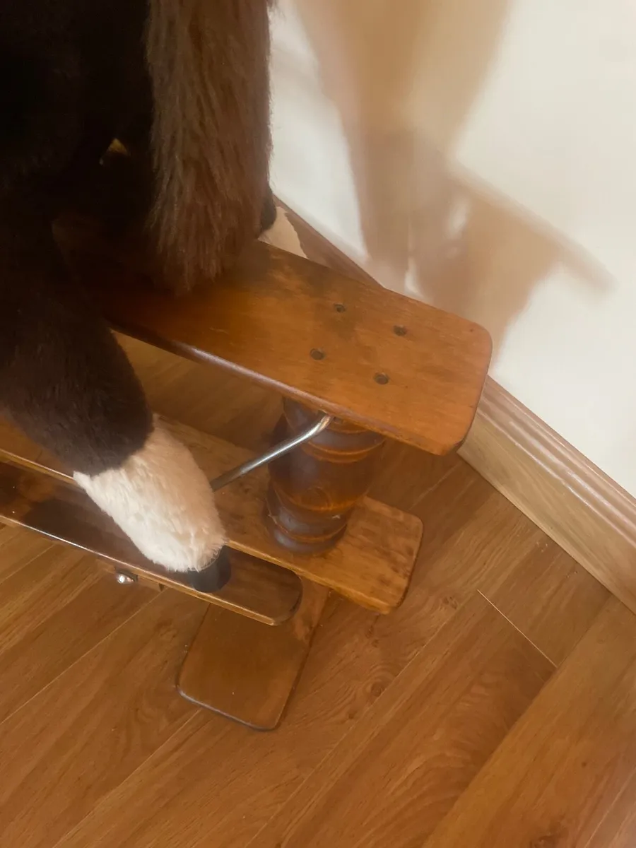 Rocking Horse - Image 4