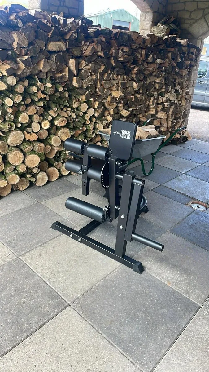 Leg extension/ hamstring curl machine (ex demo)