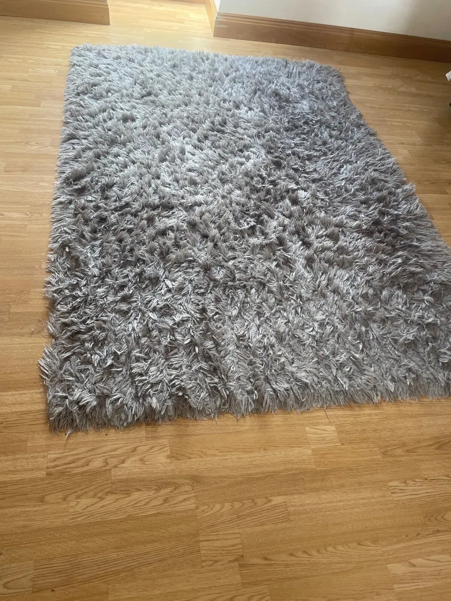 Large Rug - Image 1