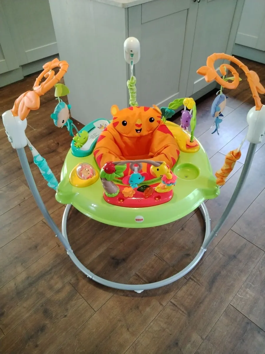 Rainforest Jumperoo - Image 2