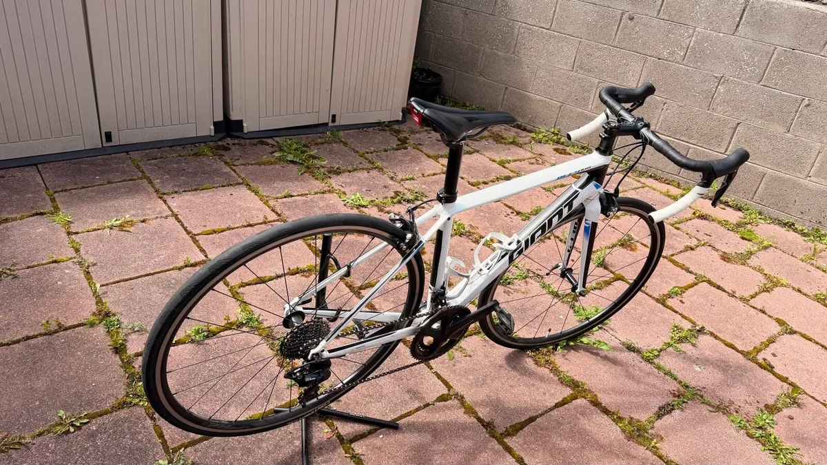 Road Bike - Image 1