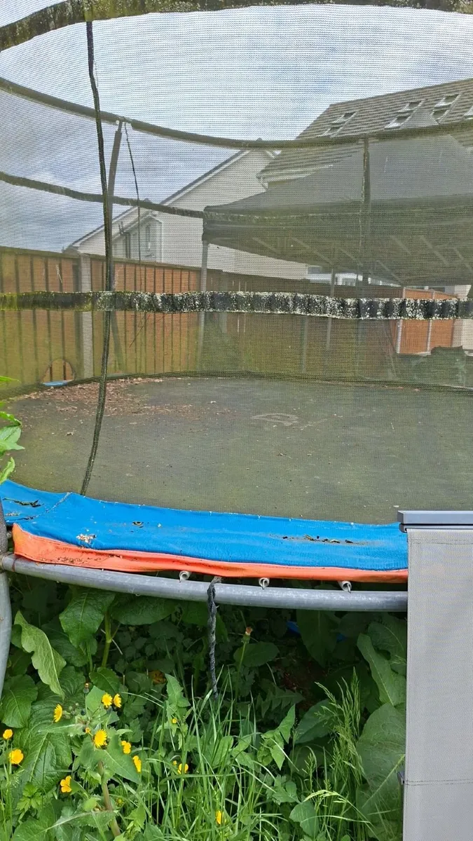 Trampoline 16ft - Image 1