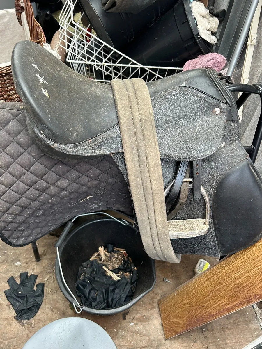 Pony saddle and new bridal - Image 1
