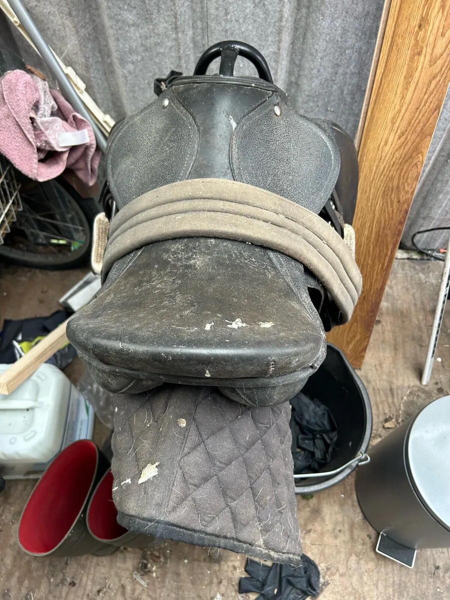 Pony saddle and new bridal - Image 3