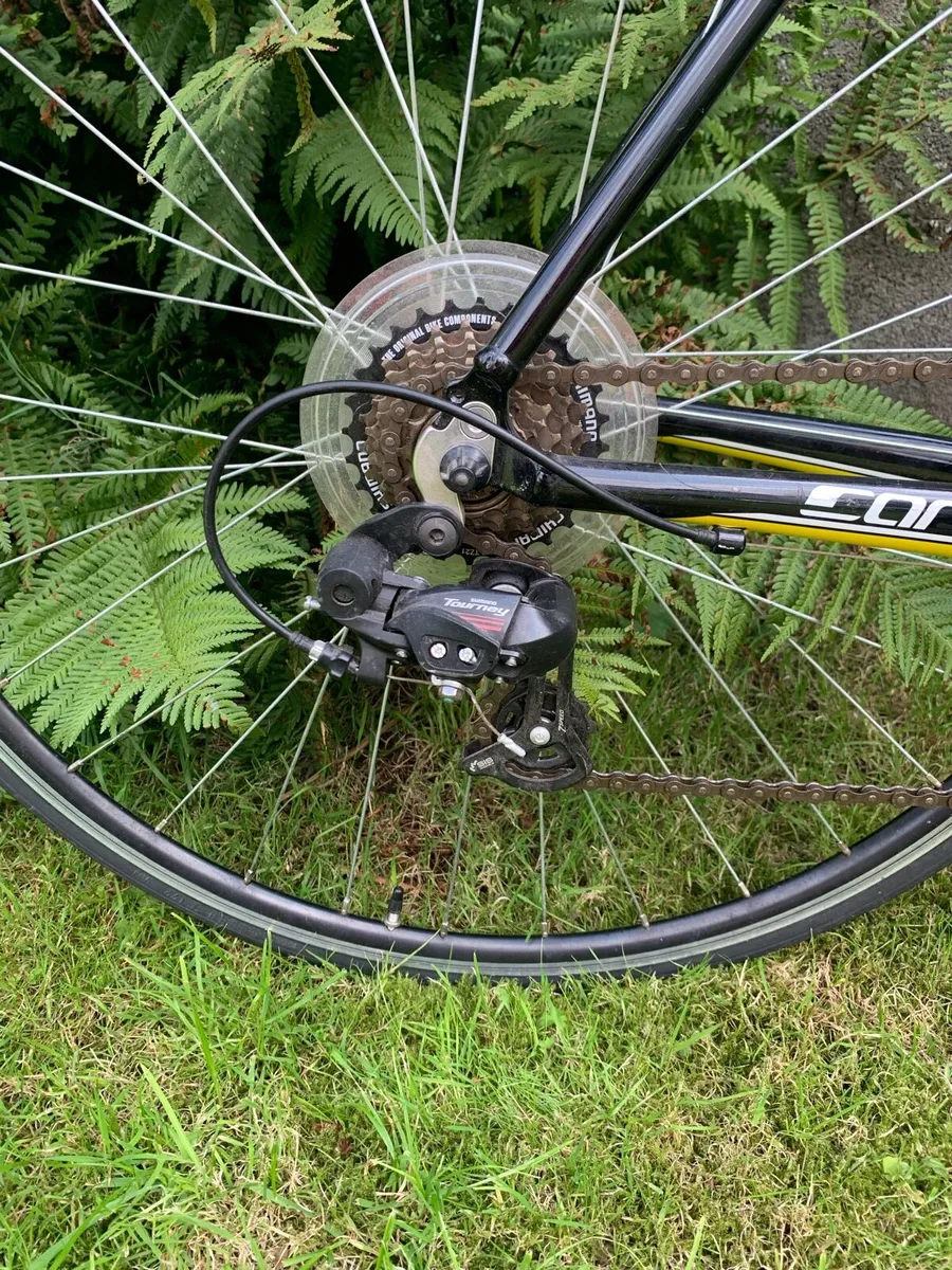 Adult bike - Image 2