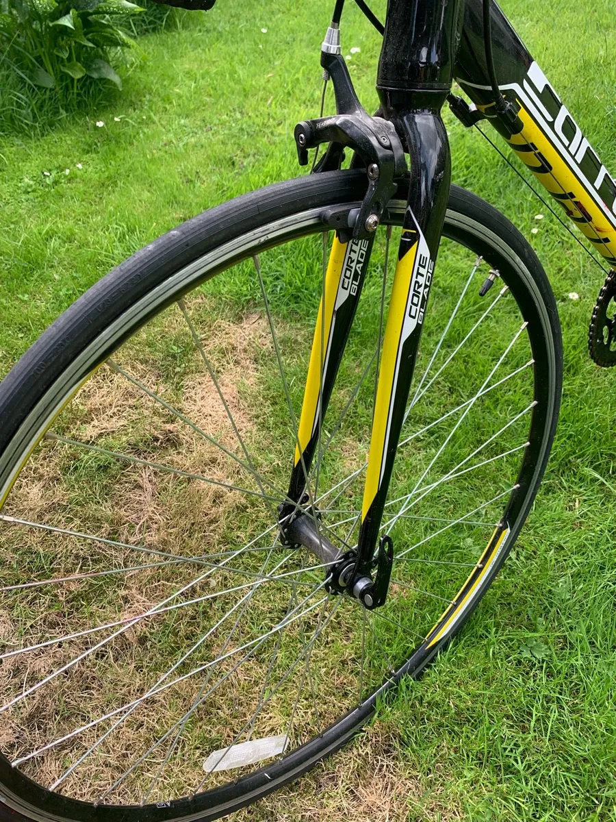 Adult bike - Image 4