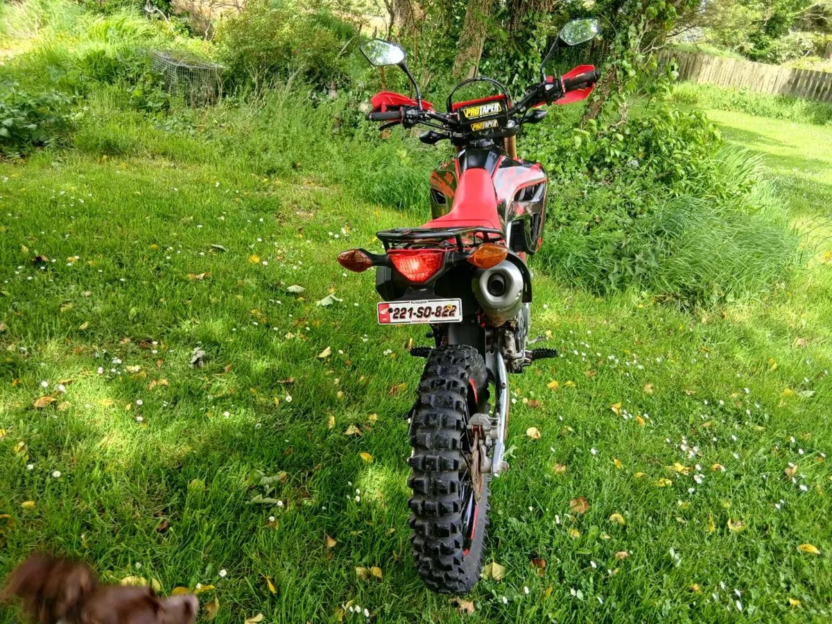 Crf 300l - Image 3
