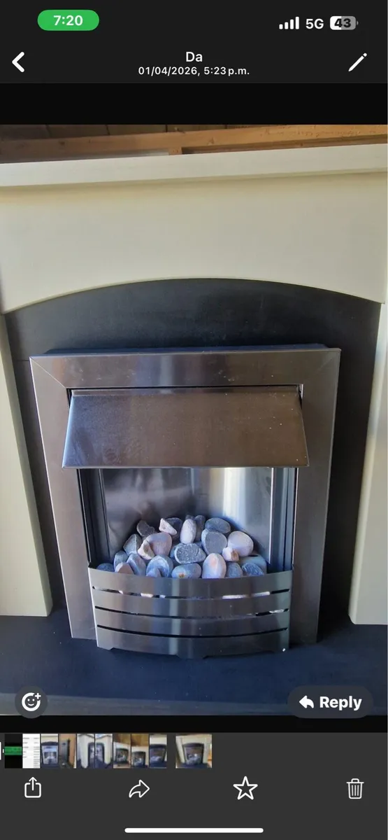 Adam dakota fireplace - Image 2