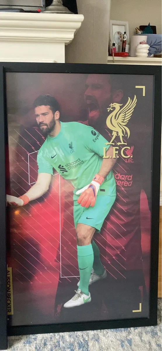 Large framed Poster - Image 1