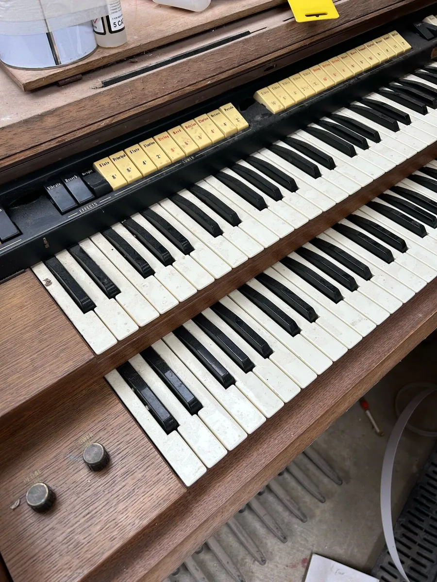 Organ FREE. - Image 1