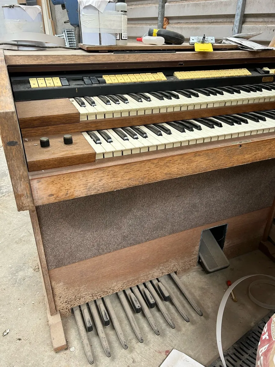 Organ FREE. - Image 3
