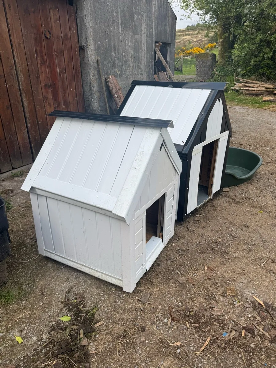 Dog Box - Image 3