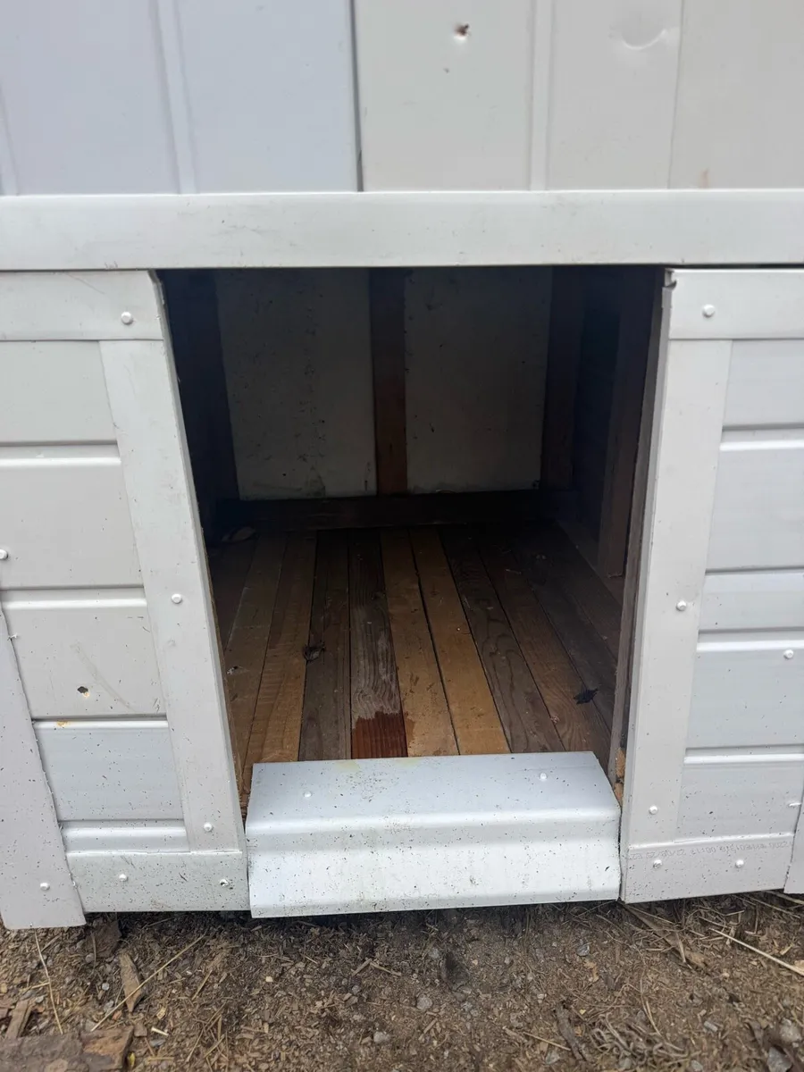 Dog Box - Image 4
