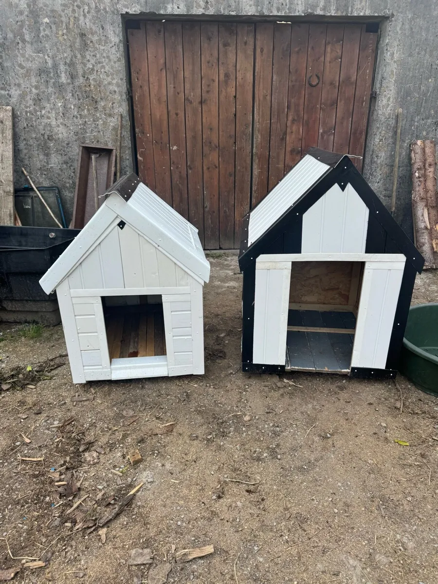 Dog Box - Image 2