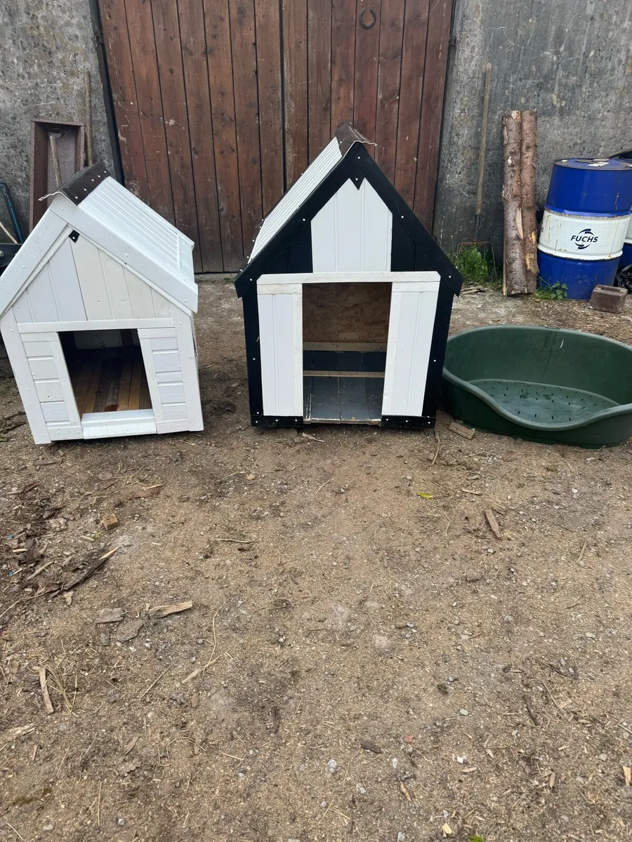 Dog Box - Image 1