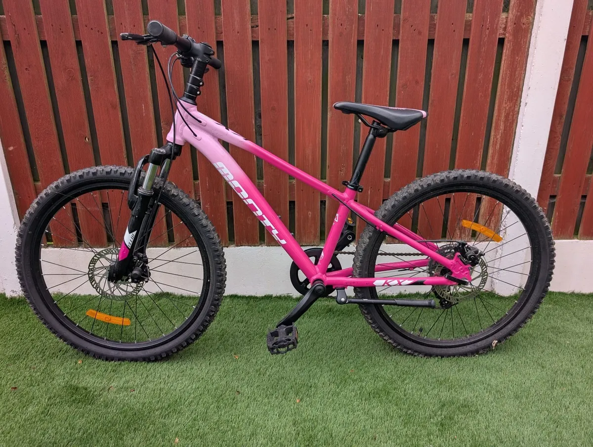 Adult & Kids Bikes - Excellent Condition - Image 1