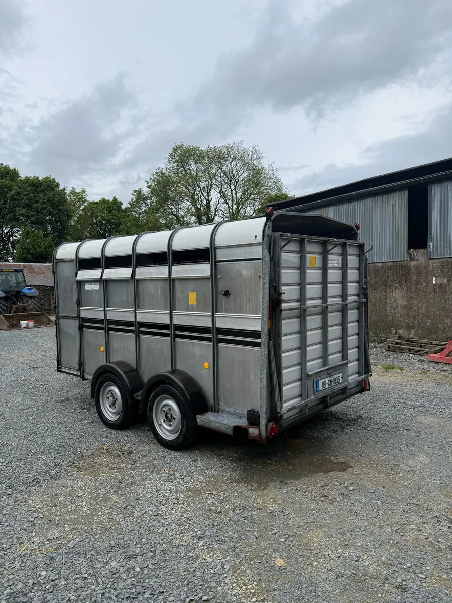 Ifor Williams 12 x 6ft cattle trailer - Image 3