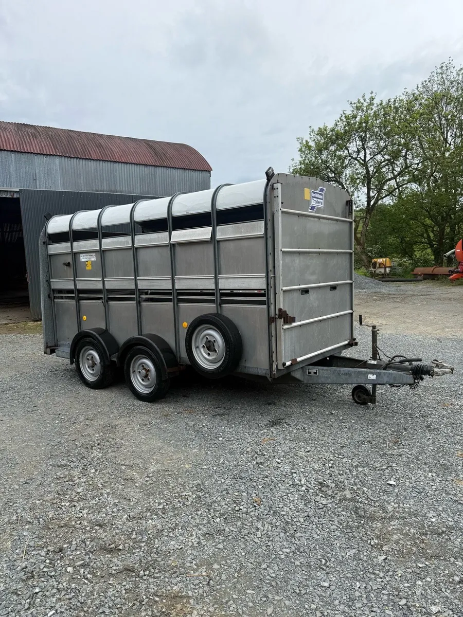 Ifor Williams 12 x 6ft cattle trailer - Image 1