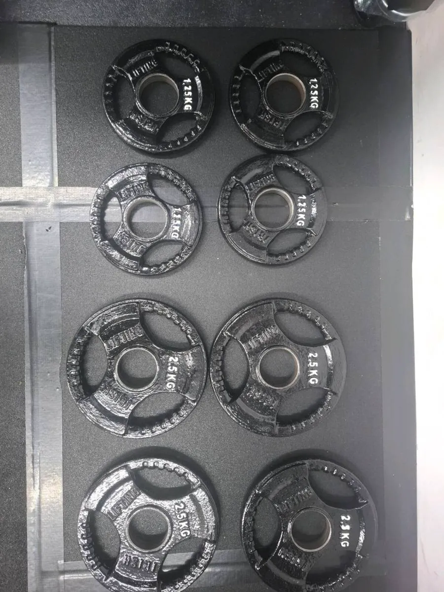 Cast Iron Weight Plates (45 kg Total) - Image 1
