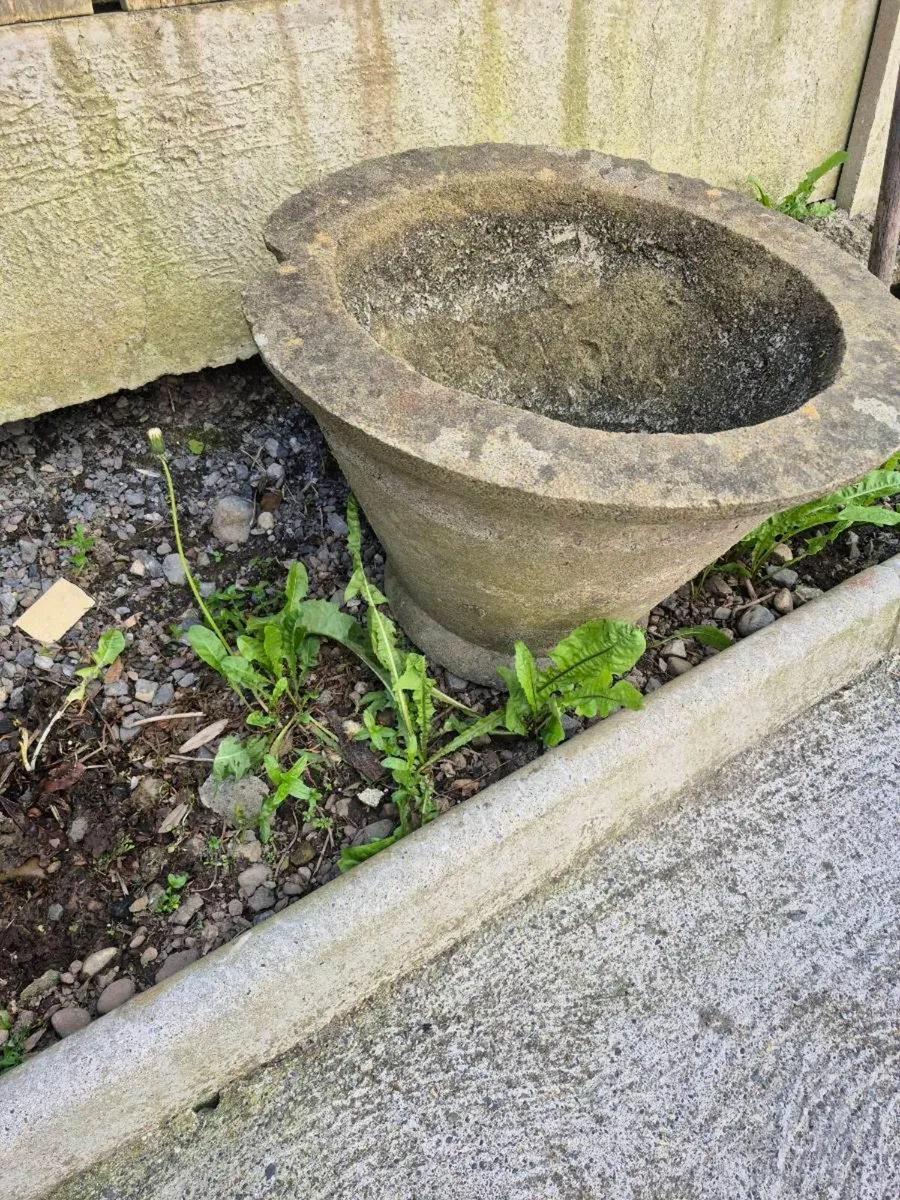 Large Concrete plant pot - Image 1