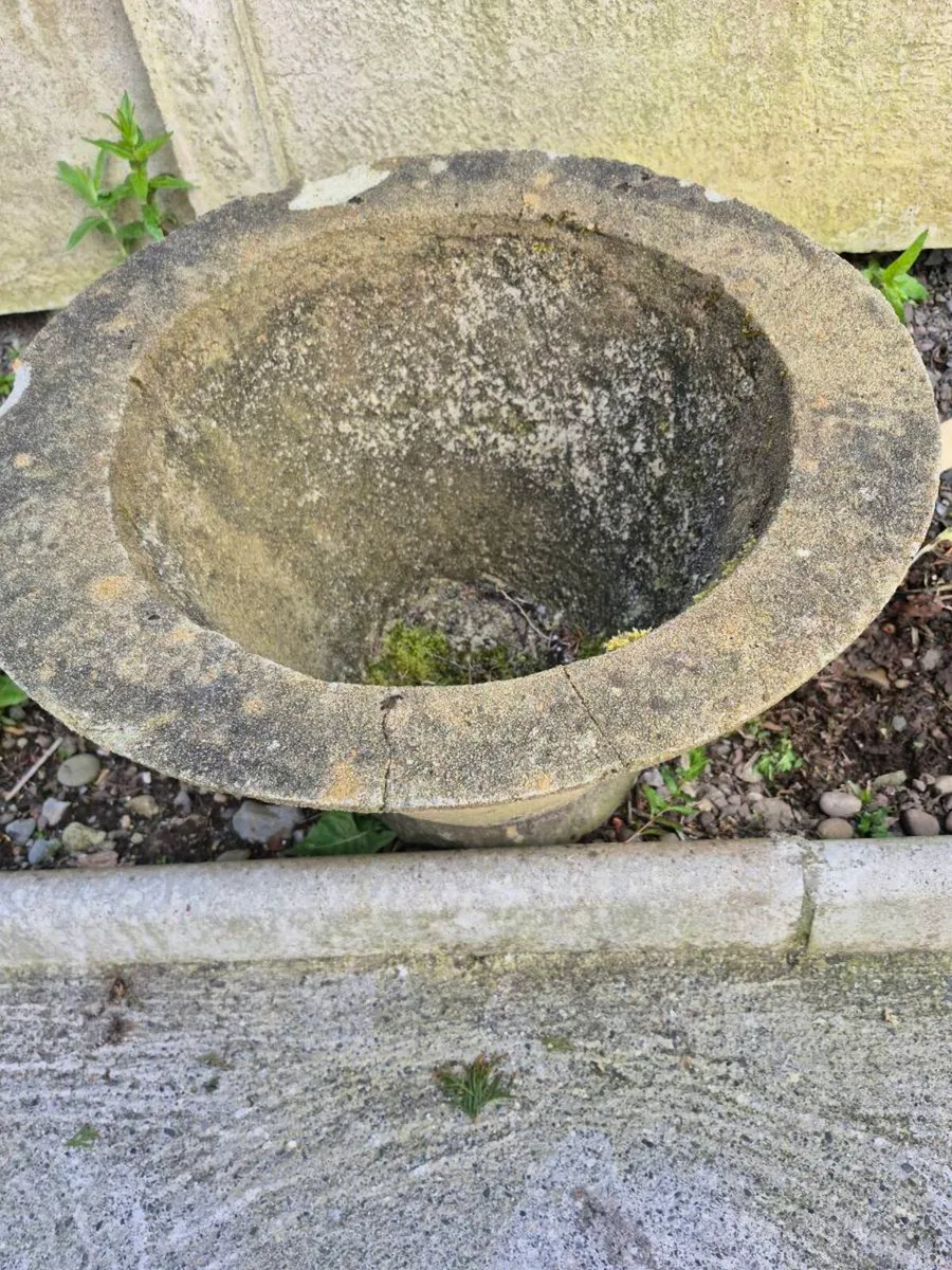 Large Concrete plant pot - Image 2