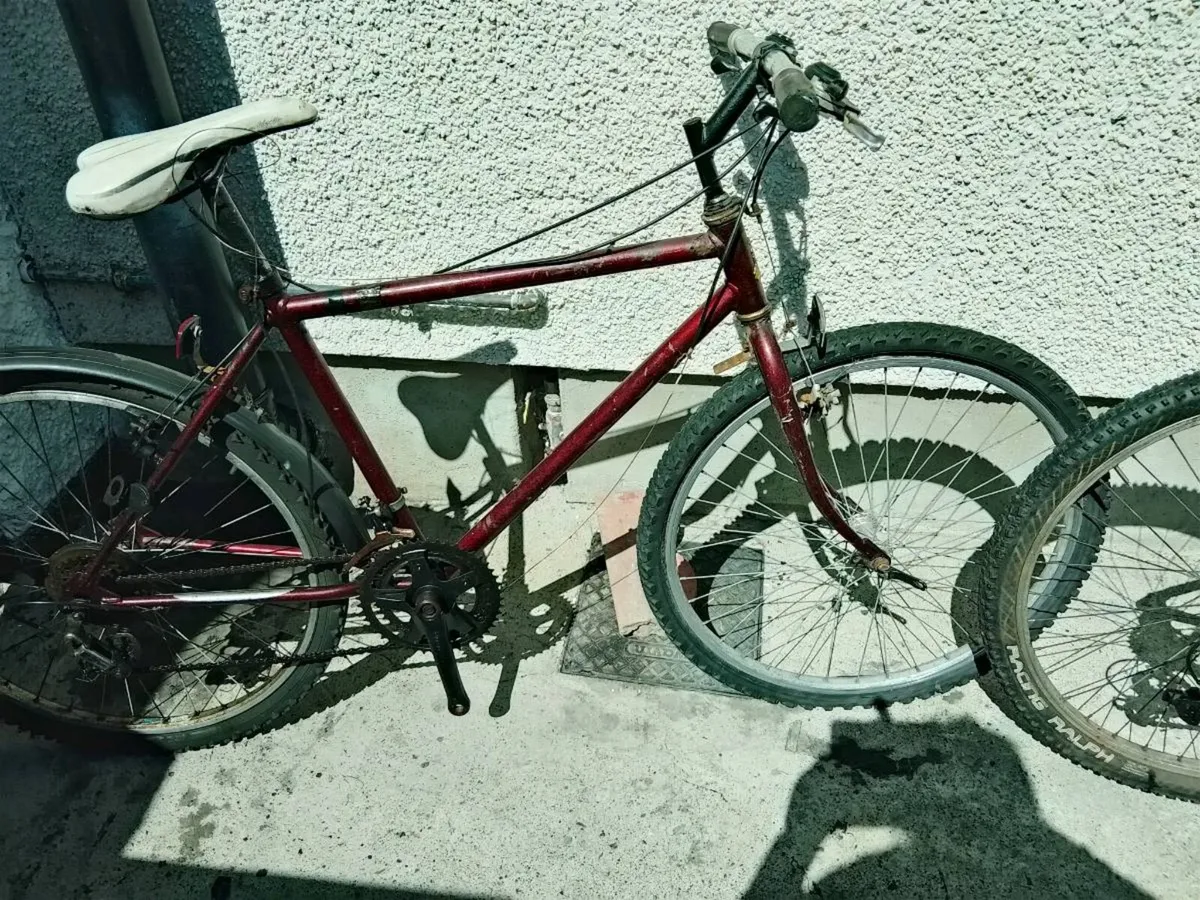 3 bikes - Image 2