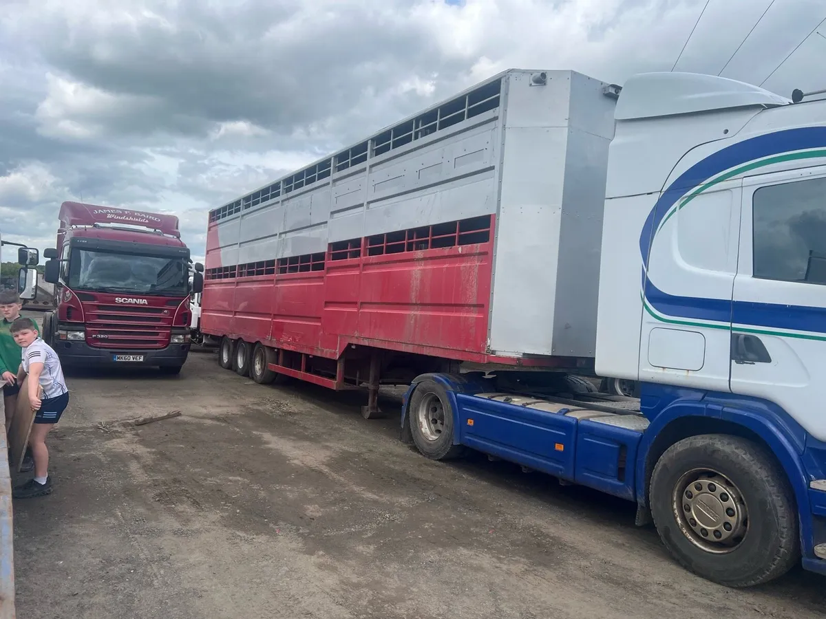 Livestock trailers - Image 3