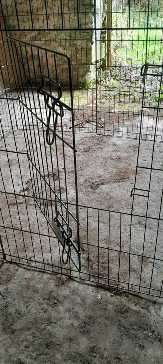 Puppy pen - Image 1