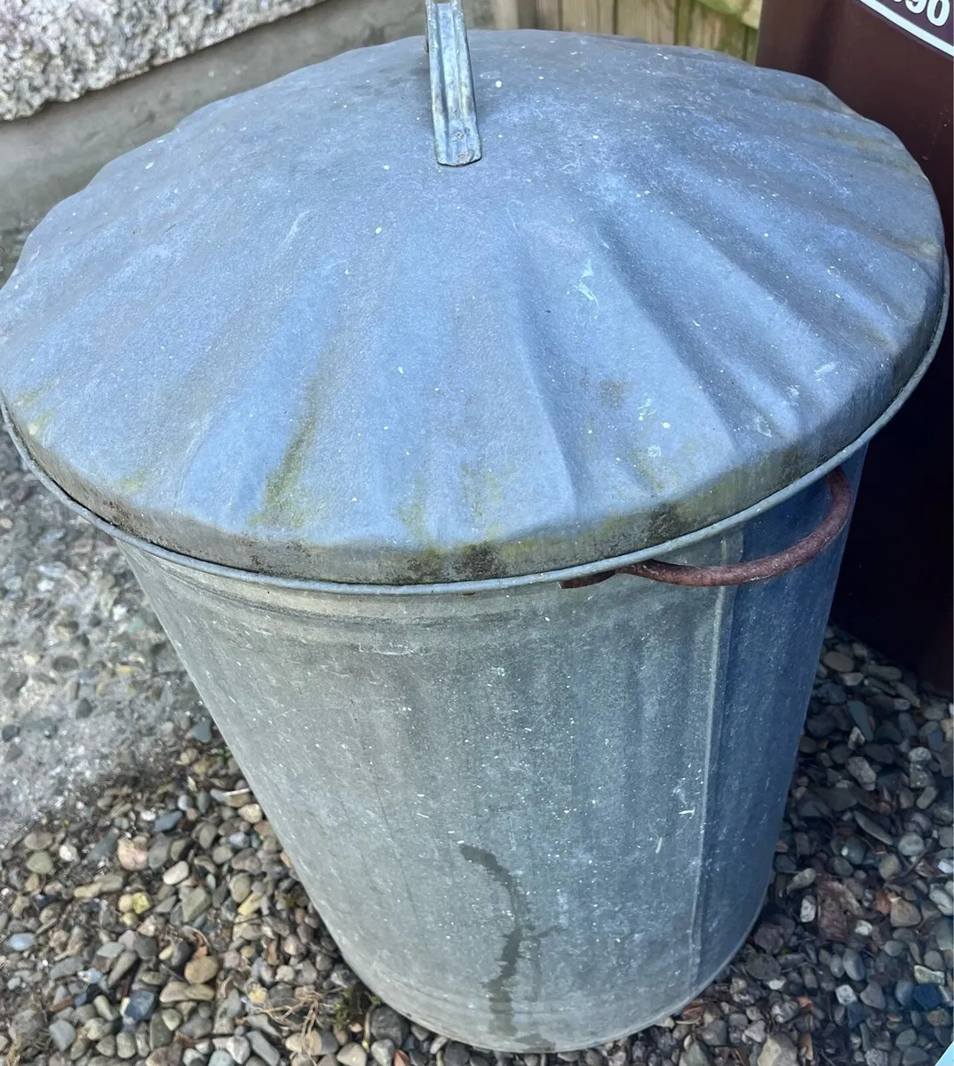 Container - Image 2