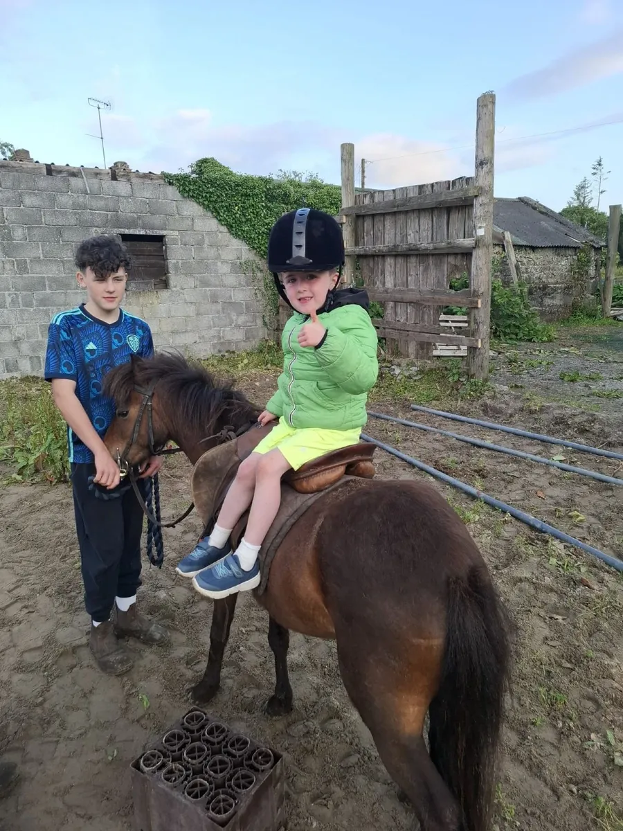 Pony - Image 3
