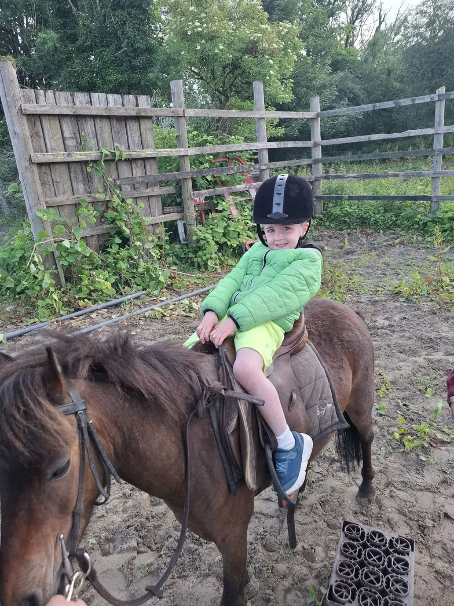 Pony - Image 1