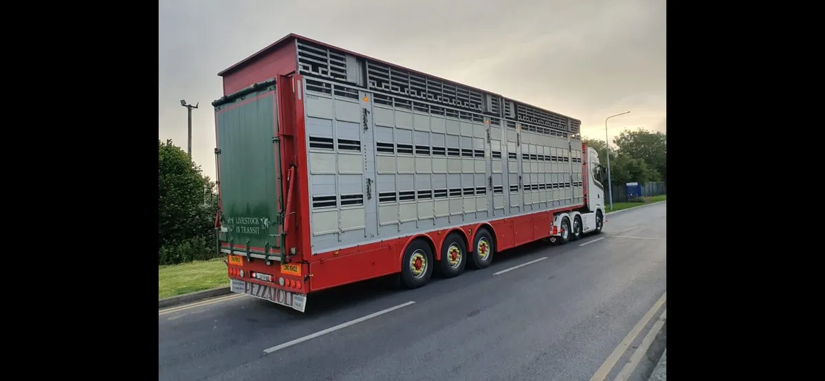 Pezzaioli livestock trailer - Image 1