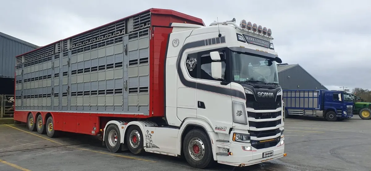 Pezzaioli livestock trailer - Image 3