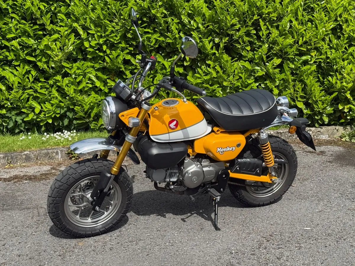 Honda Monkey 125 - Banana Yellow - Image 4