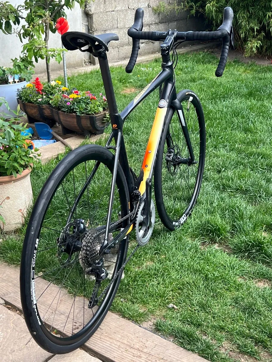 Giant contend sl1 Disc - Road bike , adult bike - Image 1