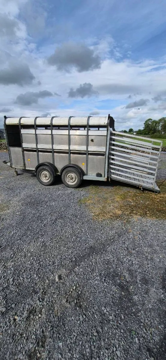 12 FOOT X 5FT 6 CATTLE TRAILER - Image 1