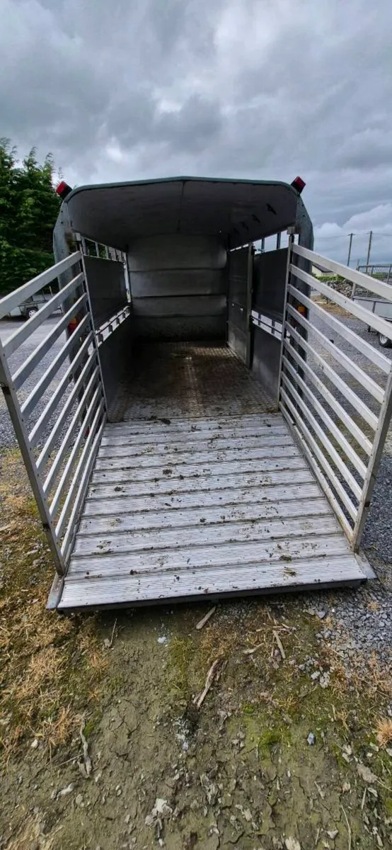 12 FOOT X 5FT 6 CATTLE TRAILER - Image 2